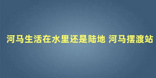 河马生活在水里还是陆地 河马摆渡站